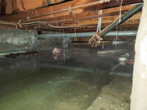 Best Water Damage Assessment and Inspection in USA